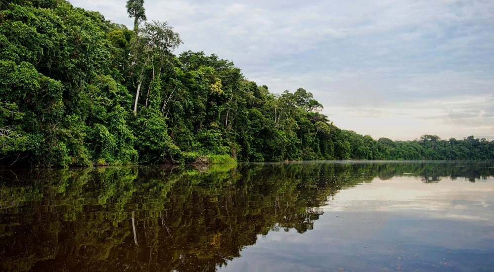 Tambopata National Reserve, Madre de Dios Region, Peru